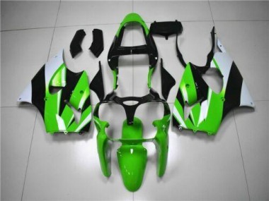 Kawasaki ZX6R 00-02 Motorrad Verkleidungen - Grün Weiß Schwarz Kaufen