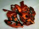 Honda CBR 1000 RR 04-05 Motorrad Verkleidungen - Braun Schwarz Kaufen Honda CBR 1000 RR 04-05 Motorrad Verkleidungen - Braun Schwarz Kaufen