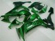 Kawasaki ZX10R 08-10 Motorrad Verkleidungen - Grüne Flamme Kaufen Kawasaki ZX10R 08-10 Motorrad Verkleidungen - Grüne Flamme Kaufen